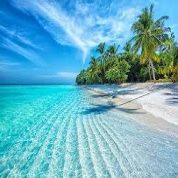 serene tropical beach